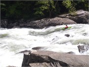 379_U_Gauley (1)